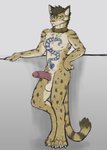 anthro balls collar countershading erection genitals hair humanoid_genitalia humanoid_penis male penis solo standing tattoo tenecayr_(artist) nekojishi studio_klondike likulau clouded_leopard felid feline leopard mammal pantherine absurd_res hi_res