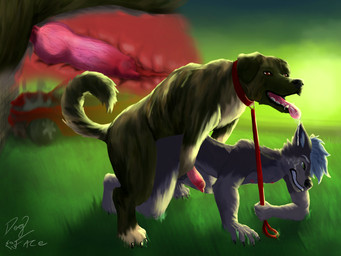 anatomically_correct anatomically_correct_genitalia anatomically_correct_penis anthro anthro_on_feral bestiality bodily_fluids collar detailed_background doggystyle drool_on_face drooling drooling_on_partner drooling_tongue duo erection excessive_saliva feral from_behind_position genitals grass knot knot_root knotted_penis knotting leash leash_pull leashed_collar male male/male penetration penis plant public public_nudity public_sex red_leash saliva sex x-ray_view dogface canid canine canis domestic_dog husky kangal livestock_guardian_dog mammal molosser mountain_dog nordic_sled_dog pastoral_dog spitz absurd_res hi_res
