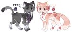 alternate_species color_swatch duo female feral feralized furrification kemono kuro_chromium puella_magi puella_magi_madoka_magica homura_akemi madoka_kaname domestic_cat felid feline felis mammal hi_res model_sheet