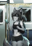 anthro biped black_hair bottomwear breasts clothing dolphin_shorts female fishbone fur grey_body grey_fur grey_tail hair inner_ear_fluff inside_train looking_at_viewer notched_ear seat shorts small_breasts solo standing tail tuft white_body white_fur bitterk4t nicky_(bitterk4t) domestic_cat felid feline felis hybrid mammal procyonid raccoon 2023 digital_drawing_(artwork) digital_media_(artwork) hi_res portrait three-quarter_portrait