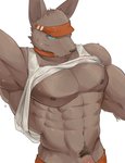 abs anthro blue_eyes bottomwear brown_body brown_fur clothed clothing dripping fur genitals male muscular muscular_anthro muscular_male nipples orange_bottomwear orange_clothing pecs penis penis_base pubes raised_clothing raised_shirt raised_topwear sagging sagging_pants shirt simple_background solo swimwear tank_top topwear visor wet white_background white_clothing white_shirt white_topwear chung0_0 canid canine canis mammal hi_res