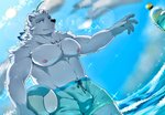 anthro ball barazoku beverage black_nose bodily_fluids bulge clothing cloud disembodied_finger disembodied_hand duo fur humanoid_hands kemono male nipples outside sea sky solo_focus sweat swimwear water white_body white_fur shyuakira knights_college paul_pfitzner bear mammal polar_bear ursine 2021 hi_res