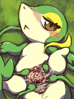 :< anus bedroom_eyes blush blush_lines bodily_fluids brown_eyes butt clitoris female female_feral feral genital_fluids genital_focus genitals grass green_tentacles high-angle_view inner_labia looking_at_viewer lying lying_on_grass mouth_closed narrowed_eyes non-mammal_vulva on_back on_grass on_ground plant plant_tentacles presenting presenting_hindquarters presenting_vulva rear_view seductive solo spread_vulva spreading tentacles vaginal_canal vaginal_fluids vulva vulva_focus diru nintendo pokemon generation_5_pokemon pokemon_(species) snivy 3:4 cel_shading hi_res shaded