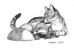 ambiguous_gender duo feral romantic romantic_couple simple_background tail scott_ruggels canid canine domestic_cat felid feline felis fox mackerel_tabby mammal tabby_cat 2010 graphite_(artwork) greyscale monochrome traditional_media_(artwork)