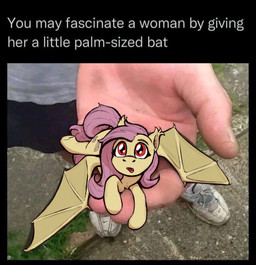 alternate_species cutie_mark duo female feral hair holding_character membrane_(anatomy) pink_hair pink_tail real red_eyes tail text rnghat friendship_is_magic hasbro my_little_pony flutterbat_(mlp) fluttershy_(mlp) bat_pony equid human mammal english_text hi_res meme