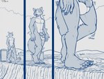 anthro balls circumcised city city_background eye_scar facial_scar feet genitals growth looking_down macro outside penis pubes scar solo walking teaselbone beastars legoshi_(beastars) canid canine canis mammal wolf 2024 hi_res