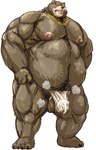 2024 absurd_res anthro asian_clothing balls bear belly ben_bigger blush bodily_fluids body_hair bulge chain_necklace clothed clothing east_asian_clothing fundoshi fundoshi_only genitals hairy_balls hi_res japanese_clothing jewelry kotobuki male mammal mihoyo moobs necklace nipples overweight overweight_male pubes simple_background solo sweat topless underwear underwear_only white_background zenless_zone_zero