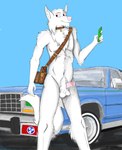 albino albino_wolf anthro balls bodily_fluids car collar collar_only dripping electronics erection exhibitionism fluffy fluffy_tail fur genital_fluids genitals holding_object holding_phone humanoid_genitalia humanoid_penis male nude penis phone pink_penis pose precum precum_drip pubes shoulder_bag solo tail text vehicle white_body white_fur bossman1969 ford ford_crown_victoria louis_vuitton canid canine canis hybrid mammal wolf wolfdog absurd_res english_text hi_res pinup