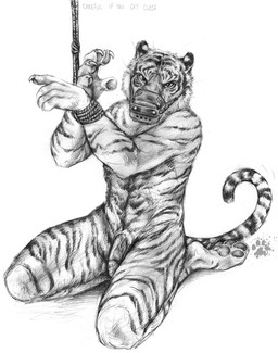 4_toes angry animal_genitalia animal_penis anthro bdsm bondage bound claws erection feet feline_genitalia feline_penis flaccid genitals half-erect hands_tied hindpaw kneeling looking_at_viewer male muzzle_(object) muzzled paws penile_spines penis rope solo stripes submissive submissive_male tail toes blotch scratches_volume_6 felid mammal pantherine tiger 2012 hi_res monochrome traditional_media_(artwork)
