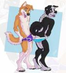 amber_eyes anthro assisted_exposure black_body black_fur black_tail blue_briefs blue_clothing blue_eyes blue_underwear briefs bulge canid canine canis clothed clothing clothing_pull digitigrade dipstick_tail domestic_dog duo fluke fur happy hi_res male male/male mammal markings multicolored_body multicolored_fur multicolored_tail open_mouth orange_body orange_fur orange_tail partially_clothed purple_briefs purple_clothing purple_underwear standing tail tail_markings tongue tongue_out topless two_tone_body two_tone_fur two_tone_tail underwear underwear_pull undressing white_body white_fur white_tail