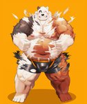 anthro belly black_body black_fur brown_body brown_fur bulge clothing fur kemono male moobs navel nipples overweight overweight_anthro overweight_male simple_background solo underwear white_body white_fur mti777 bear mammal 2020 hi_res