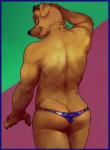 anthro back_muscles bird_dog bojack_horseman brown_body brown_fur butt canid canine canis clothed clothing digital_media_(artwork) domestic_dog eyewear fur glitter_trap_boy grin happy hi_res hunting_dog labrador looking_at_viewer looking_back male mammal mr._peanutbutter muscular muscular_anthro muscular_male netflix pinup portrait pose rear_view retriever skimpy smile solo speedo sunglasses swimwear three-quarter_portrait topless undersized_clothing yellow_body yellow_fur