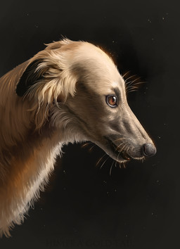 2020 black_nose brown_eyes canid canine canis digital_media_(artwork) domestic_dog feral headshot_portrait hi_res himeragoldtail mammal portrait solo whiskers