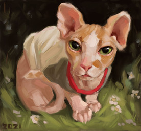 ambiguous_gender big_pupils clothed clothed_feral clothing daisy_(flower) feral flower grass green_eyes hairless looking_at_viewer markings pink_body pink_nose pink_skin plant pupils quadruped sitting solo white_markings alexpahomov domestic_cat felid feline felis hairless_cat mammal sphynx_(cat) 2021 digital_media_(artwork) digital_painting_(artwork) painting_(artwork)