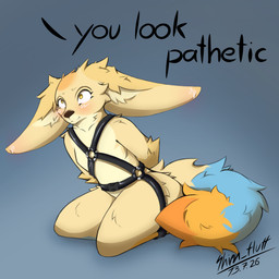 bdsm blue_body blue_fur blush fluffy fluffy_tail fur harness huge_ears humiliation leather male orange_body orange_fur questionable_consent scared smile solo tail wide_eyed canid canine fennec_fox fox mammal true_fox absurd_res hi_res