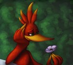 anthro beak eyelashes feather_hands feathers female feral flower gift green_background green_eyes hand_on_own_face holding_flower holding_object lidded_eyes looking_at_flower looking_at_object looking_at_plant plant red_body red_feathers simple_background smile solo yellow_beak smashsweetie thelittlebluebird banjo-kazooie rareware kazooie avian breegull 2010 color_contrast digital_media_(artwork) digital_painting_(artwork) half-length_portrait portrait