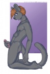 anthro blue_eyes erection fur genitals grey_body grey_fur hair humanoid_genitalia humanoid_penis jewelry male masturbation necklace nude orange_hair penile penile_masturbation penis simple_background solo mistystriker felid mammal pantherine 2015