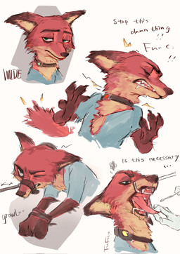angry anthro bodily_fluids bound collar dialogue disembodied_hand drooling eyes_closed green_eyes hands_tied male medical one_eye_closed open_mouth pain saliva shock_collar simple_background solo text tongue tongue_pull white_background bpbpimasheep disney zootopia nick_wilde canid canine fox mammal english_text hi_res