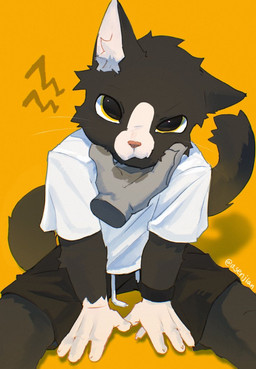 4_fingers ambiguous_gender annoyed anthro biped black_body black_bottomwear black_clothing black_fur black_shorts bottomwear clothed clothed_ambiguous clothed_anthro clothing disembodied_hand duo fingers fur hands_between_legs holding_face humanoid_hands inner_ear_fluff looking_at_viewer looking_up looking_up_at_viewer male markings shirt shorts simple_background solo_focus t-shirt tail topwear tuft white_clothing white_markings white_shirt white_topwear yellow_background asenjian domestic_cat felid feline felis mammal digital_drawing_(artwork) digital_media_(artwork) japanese_description signature