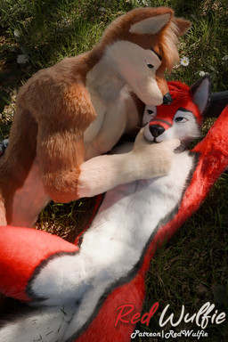 5_fingers anthro biped black_claws black_nose blue_eyes brown_body brown_fur claws cuddling digitigrade duo evening fingers fluffy fur gloves_(marking) grass hair male male/male male_anthro markings pawpads paws penile plant public realistic red_body red_fur romantic romantic_couple sky sun tail tree whiskers white_body white_fur white_whiskers red_wulfie blender_cycles mutt_(wagnermutt) red_(red_wulfie) canid canine canis domestic_dog mammal wolf 2:3 3d_(artwork) blender_(artwork) digital_media_(artwork) hi_res watermark