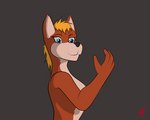 4_fingers anthro female fingers fire magic_user solo harkrun canid canine fox mammal 5:4 animated short_playtime