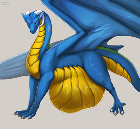 ambiguous_feral ambiguous_gender belly big_belly blue_body blue_wings digitigrade feral glistening glistening_eyes grey_background horn huge_belly markings membrane_(anatomy) membranous_wings mouth_closed neck_markings quadruped scales side_view simple_background solo tail text thick_tail ventral_scales vore white_horn wings yellow_body yellow_eyes yellow_markings yellow_scales roobin european_mythology mythology dragon mythological_creature mythological_scalie scalie western_dragon artist_name hi_res