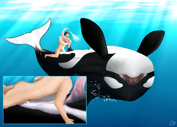 air_bubble anal anal_penetration animal_genitalia animal_penis bestiality bodily_fluids cetacean_genitalia cetacean_penis cum cum_in_ass cum_inside cum_while_penetrated duo ejaculation extreme_size_difference feral feral_penetrated from_front_position genital_fluids genitals human_on_feral human_penetrating human_penetrating_feral interspecies larger_penetrated larger_sub light light_beam lying male male/male missionary_position multicolored_body on_back open_mouth penetration penile penile_penetration penis penis_in_ass prehensile_penis sex size_difference submissive tapering_penis underwater underwater_scenery underwater_sex water lusttheorydreams aquatic cetacean dolphin human mammal oceanic_dolphin orca toothed_whale absurd_res hi_res