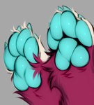 2022 4_toes blue_pawpads canid canine claws feet foot_focus fox fur hi_res hindpaw magenta_fur mammal mega_moppa pawpads paws rose_the_foxxo simple_background solo toe_claws toes tuft
