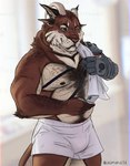 anthro arm_tuft barazoku belly belly_hair biceps body_hair broken_horn brown_hair bulge cellphone chest_hair chest_scar clothed clothing deltoids ear_piercing elbow_tuft electronics eye_scar facial_scar facial_tuft forearm_muscles front_view hair hairy happy_trail holding_cellphone holding_object holding_phone holding_smartphone horn horn_jewelry horn_ring jewelry looking_at_cellphone looking_at_object looking_at_phone looking_down male manly mature_male musclegut muscular muscular_arms nipples notched_ear pecs phone piercing prosthetic prosthetic_arm prosthetic_limb ring_(jewelry) robotic_arm scar shoulder_tuft simple_background slightly_chubby smartphone solo standing straps towel towel_on_shoulder triceps tuft underwear underwear_only white_background white_towel allmand52 mythology dragon felid hybrid mammal mythological_creature mythological_scalie pantherine scalie tiger 2024 hi_res