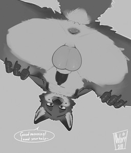 animal_genitalia animal_penis anthro anus balls butt canine_genitalia canine_penis countershade_torso countershading erection fingers fur genitals inner_ear_fluff looking_at_viewer low-angle_view male navel nude nude_anthro nude_male penis sheath simple_background smile solo standing tail teeth text tuft oxfort2199 canid canine fox mammal 2025 absurd_res digital_media_(artwork) english_text hi_res monochrome