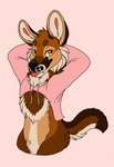 2018 absurd_res akamai_(maligaytor) anthro black_nose blep bottomless brown_body brown_fur canid canine canis cheek_tuft circle_eyebrows clothed clothing crotch_tuft digital_drawing_(artwork) digital_media_(artwork) eyebrows facial_tuft fangs featureless_crotch flat_colors fluffy_chest fur gradient_eyes half-length_portrait hands_behind_head head_tuft hi_res hoodie hybrid jackal looking_at_viewer male male_anthro maligaytor mammal maned_wolf meme meme_clothing narrowed_eyes paint_tool_sai_(artwork) pink_background pink_clothing pink_eyes pink_hoodie pink_tongue pink_topwear portrait simple_background snout solo tail tan_body tan_fur teeth tongue tongue_out topwear tuft twitter_hoodie yellow_eyes