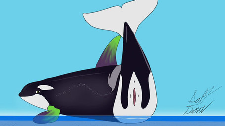 animal_genitalia animal_vulva anus ass_up beach butt cetacean_genitalia cetacean_vulva female feral flippers genital_slit genitals looking_at_viewer multicolored_body presenting presenting_hindquarters presenting_vulva raised_tail sea solo spread_slit tail teasing text toony vulva water saltdance sound_warning aurora_(saltdance) aquatic cetacean dolphin mammal oceanic_dolphin orca toothed_whale 16:9 2d_animation animated frame_by_frame short_playtime signature sound video widescreen