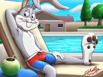 anthro clothing male solo swimming swimming_pool swimming_trunks swimwear sagadreams looney_tunes warner_brothers bugs_bunny lagomorph leporid mammal rabbit