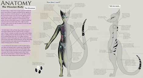 4_fingers alien_biology ambiguous_gender anthro back_markings biology blood bodily_fluids bone brain claws detailed_anatomy digitigrade duo fingers front_view gills glowing glowing_eyes green_eyes guts heart_(organ) information intestines liver long_tail lore lung markings membrane_(anatomy) muscular_system nervous_system nude nude_anthro organs pancreas psychic psychic_system sharp_teeth side_view skeleton species_sheet spines stomach stripes tail tail_markings teeth text text_box webbed_hands white_body x-ray_view yellow_eyes davespaceman alien aquatic scalie vinesian absurd_res biological_illustration english_description english_text hi_res model_sheet technical_illustration