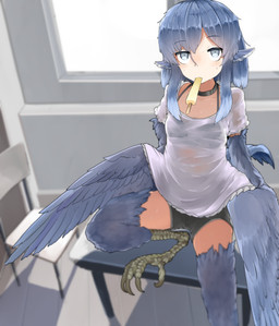 blue_body blue_eyes blue_feathers blue_hair blue_wings bodily_fluids bottomwear bra breasts chair choker clothed clothed_female clothing desk feathered_ears feathers female food fully_clothed fully_clothed_female furniture hair inside jewelry light_body light_skin necklace popsicle popsicle_in_mouth shirt shorts small_breasts solo sweat table tail tail_feathers topwear translucent translucent_clothing translucent_shirt translucent_topwear underwear wings rnd european_mythology greek_mythology mythology animal_humanoid avian harpy humanoid mythological_avian mythological_creature absurd_res hi_res