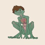 amphibian anthro breasts claire_(pitta_the_italian) crouching female frog glass_frog guts heart_symbol hi_res intestines looking_at_viewer looking_pleasured lung nipples non-mammal_breasts non-mammal_nipples organs pitta_the_italian smug solo translucent translucent_body uterus
