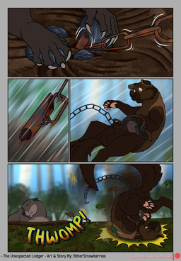 4_toes animal_genitalia balls bound brown_body brown_fur chain chained claws digitigrade dirt falling feet feral fully_sheathed fur genitals hindpaw leaf leaves_on_ground male male_feral outside pawpads paws pink_pawpads quadruped rock sheath sound_effects text toes trap_(contrivance) bitterstrawberries echo_(bitterstrawberries) husq_(bitterstrawberries) beaver fisher_(animal) gulonine mammal mustelid musteline rodent comic english_text hi_res