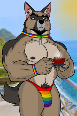 anthro anthrofied beverage black_nipples bracelet brown_body brown_fur bulge clothing coffee_mug collar container cup eye_scar facial_scar fur fur_markings grey_body grey_fur half-closed_eyes holding_beverage holding_object jewelry lgbt_pride looking_at_viewer male markings multicolored_body multicolored_clothing multicolored_fur multicolored_underwear muscular muscular_anthro muscular_male narrowed_eyes nipples outside photo_background pubes scar solo standing tea_cup underwear ivan_the_artist pixie_and_brutus brutus_(pixie_and_brutus) canid canine canis domestic_dog german_shepherd herding_dog mammal pastoral_dog 2025 hi_res mixed_media photography_(artwork)