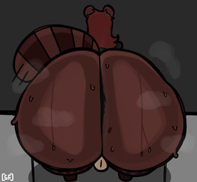 anthro anus_peek balls big_butt black_clothing black_shirt black_topwear bodily_fluids bottom_heavy bottomless bottomless_anthro bottomless_male brown_body brown_fur brown_hair bubble_butt butt butt_focus clothed clothing curvy_figure feet femboy fur genitals glistening glistening_butt hair huge_butt huge_thighs leg_markings logo male male_anthro markings medium_hair mole_(marking) mole_on_butt multicolored_body multicolored_fur rear_view round_ears seductive shirt shirt_only small_balls socks_(marking) solo striped_markings striped_tail stripes sweat sweaty_butt tail tail_markings tan_body tan_fur thick_thighs topwear topwear_only two_tone_body two_tone_fur voluptuous voluptuous_anthro voluptuous_male ghostfuckrr panna_cotta_(ghostfuckrr) canid canine mammal raccoon_dog tanuki 2026 absurd_res artist_logo colored digital_drawing_(artwork) digital_media_(artwork) hi_res shaded