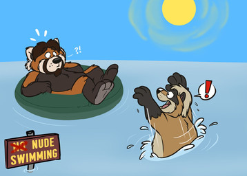 anthro black_body brown_body duo exclamation_point humanoid_hands male nude outside skinny_dipping slightly_chubby sun water hubie360 ailurid mammal procyonid raccoon red_panda 2017 hi_res