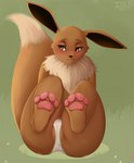 2021 4_toes anthro anthrofied black_nose blush brown_body brown_butt brown_ears brown_eyes brown_fur brown_tail butt camel_toe clothed clothing digital_media_(artwork) eevee eyelashes facial_tuft feet female foot_focus fur generation_1_pokemon grass green_background isyld looking_away multicolored_body multicolored_fur neck_tuft nintendo panties panties_only partially_visible_vulva pawpads pink_pawpads plant pokemon pokemon_(species) pokemorph shaded simple_background sitting solo tail tan_body tan_fur thick_thighs toes topless tuft underwear underwear_only white_clothing white_panties white_underwear