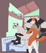 2023 2d_animation abraxocleaner animated anthro anthro_on_anthro anthro_penetrated anthro_penetrating anthro_penetrating_anthro anus appliance big_penis body_part_in_pussy bouncing_butt butt canid canine canis cheek_tuft chest_tuft claws clitoral_hood clitoris clothing colored dialogue digital_drawing_(artwork) digital_media_(artwork) digitigrade duo erection eyewear facial_tuft female female_penetrated finger_claws flat_colors fluffy fluffy_tail frame_by_frame friends from_behind_position fuzzamorous genitals glasses gloves_(marking) hi_res humanoid_genitalia humanoid_pussy jack-jackal_(character) jackal laundry_machine leg_markings loop male male/female male_penetrating male_penetrating_female mammal markings moan neck_tuft nude panties penetration penile penile_penetration penis penis_in_pussy procyonid pussy raccoon raised_leg robin_raccoon sex short_playtime socks_(marking) sound tail thick_thighs toe_claws tongue tongue_out tuft underwear vaginal vaginal_penetration voice_acted washing_machine webm