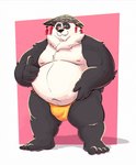 anthro asian_clothing balls_outline belly black_body black_fur bulge clothed clothing detailed_bulge east_asian_clothing eyewear fundoshi fundoshi_only fur genital_outline gesture glasses hand_gesture headgear headwear holding_belly japanese_clothing male moobs multicolored_body multicolored_fur navel nipples overweight overweight_male penis_outline pink_background simple_background smile smiling_at_viewer solo thick_thighs thumbs_up topless two_tone_body two_tone_fur underwear underwear_only white_body white_fur yellow_clothing yellow_fundoshi yellow_underwear 06junior11 mihoyo zenless_zone_zero pan_yin_hu bear giant_panda mammal thiren 2025 absurd_res hi_res