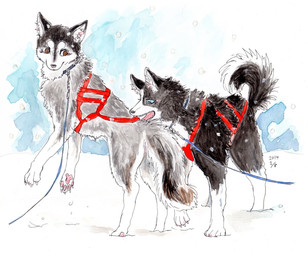 ambiguous_gender blue_eyes brown_eyes collar duo feral fur harness leash outside snow tail winter sibaketsu canid canine canis domestic_dog husky mammal nordic_sled_dog spitz 2014 hi_res painting_(artwork) traditional_media_(artwork) traditional_painting_(artwork) traditional_watercolor_(artwork) watercolor_(artwork)