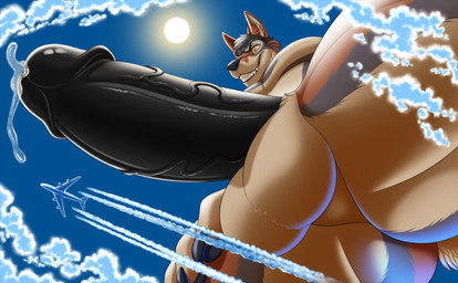 aircraft airplane anthro balls bodily_fluids cloud cum fur genital_fluids genitals looking_down low-angle_view macro male muscular muscular_anthro muscular_male penis sky solo sun teeth vehicle vein veiny_penis furrypur canid canine canis coyote mammal 2022 digital_media_(artwork) hi_res