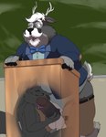 anthro balls black_body black_nose bottomwear bow_tie clothing duo erection eyewear genitals glasses lectern male mature_male oral overweight overweight_male pants penis under_table bravo canid canine cervine deer mammal 2023 hi_res