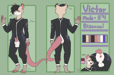 2_penises 5_fingers 5_toes anthro anus backsack balls black_body black_fur black_hair blush blush_lines butt butt_shot closed_smile diphallism erection eye_through_hair eyebrow_through_hair eyebrows eyelashes fangs featureless_chest feet fingernails fingers fur genitals green_background green_eyes hair happy highlights_(coloring) horizontal_diphallism logo looking_at_viewer male mouth_closed multi_genitalia multi_penis multicolored_body multicolored_fur nails nude open_mouth open_smile penis pink_body pink_nose pink_tail prehensile_tail pupils purple_body purple_fur purple_highlights rat_tail short_hair simple_background slim slim_anthro slim_male small_penis smile snout solo standing stated_bisexuality stated_gender stated_height stated_sexuality stripes tail tail_around_leg tail_around_own_leg tan_body tan_fur teeth text toenails toes translucent translucent_hair wave white_body white_fur white_pupils white_stripes trinitynight victor_(funkwolfie) american_opossum mammal marsupial 2025 absurd_res artist_logo character_name digital_media_(artwork) english_text flat_colors hi_res model_sheet multiple_images watermark