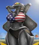 aircraft american_flag american_flag_clothing anthro big_breasts breasts f-23 female green_eyes hands_behind_head machine navel navel_piercing piercing solo thick_thighs united_states_of_america vehicle a_drunk_dragon u.s._air_force aircraft_humanoid living_aircraft living_machine living_vehicle hi_res