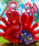 5_toes anthro barefoot close-up duo_focus feet foot_fetish foot_focus gesture grin group hand_gesture humanoid_feet low-angle_view male micro plantigrade red_body red_feet smile soles spread_toes toes v_sign cbl_art sega sonic_the_hedgehog_(series) fan_character knuckles_the_echidna sonic_the_hedgehog eulipotyphlan hedgehog mammal 2019 absurd_res hi_res