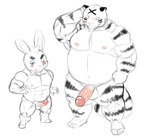 anthro balls belly big_belly big_penis blush duo erection genitals kemono male male/male moobs musclegut muscular muscular_male navel nipples overweight overweight_male penis penis_size_difference hupi1008 felid lagomorph leporid mammal pantherine rabbit tiger 2023 hi_res